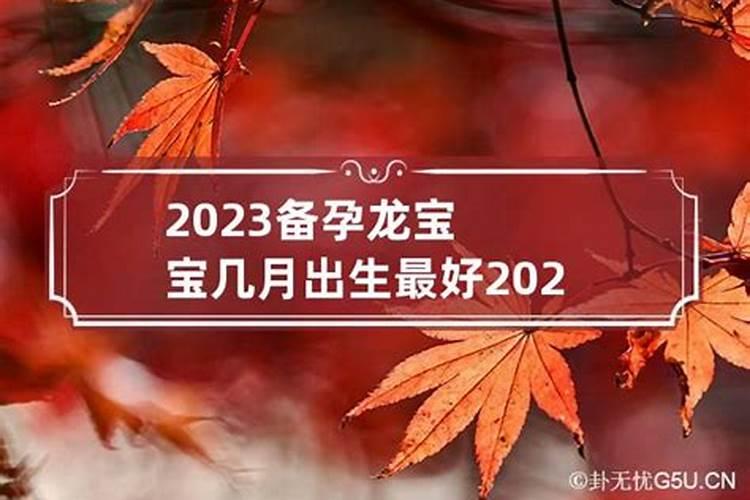 2023年那个月出生的孩子最好