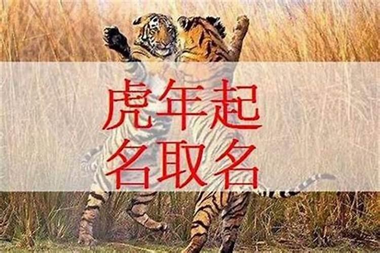 2023年出生的虎宝宝五行属什么命