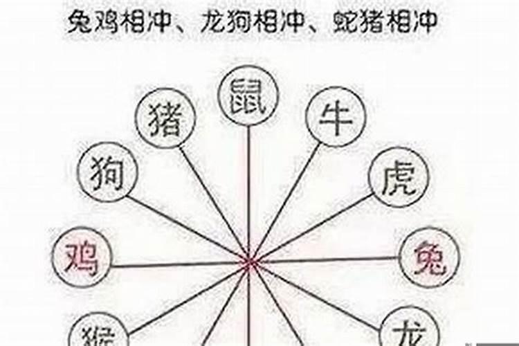 属相相冲用什么化解