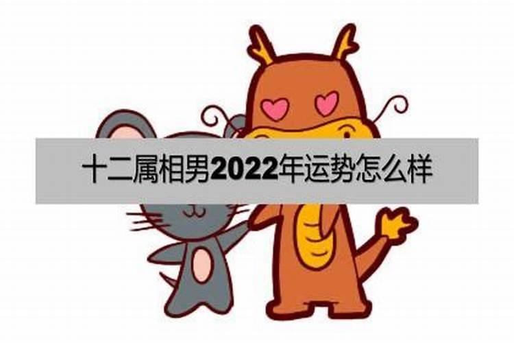 74年男2021年财运