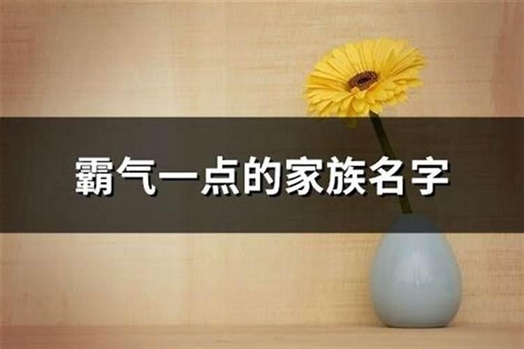 霸气点的家族名