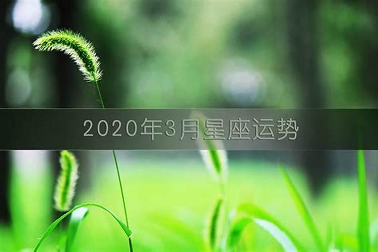 天秤座月份运势2020