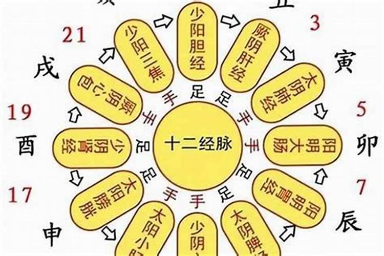 属猴2023年的5月运势如何