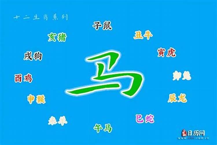 属马人名字宜忌字