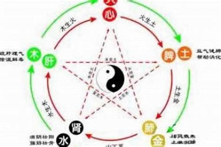 属虎的五行都属木吗