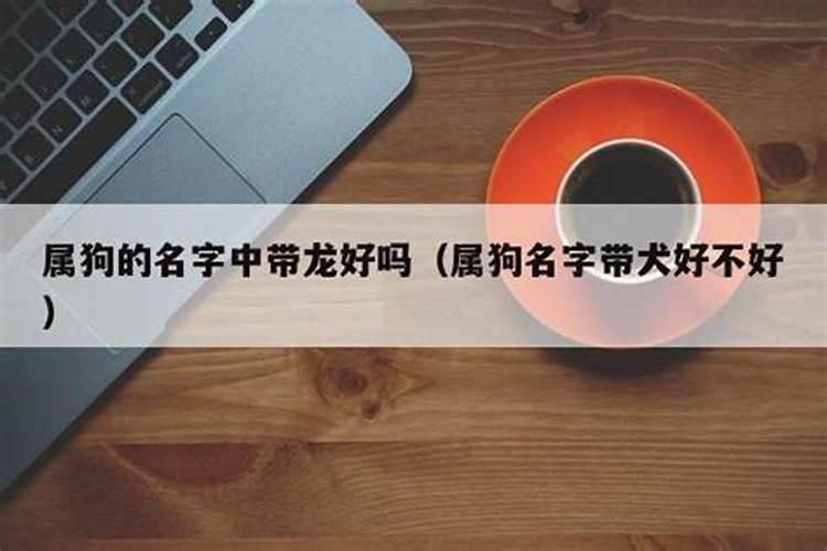 属狗的取名字中带龙好不好