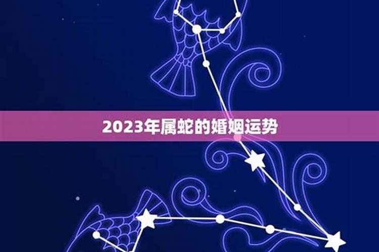 属蛇在2023年结婚好还是不好