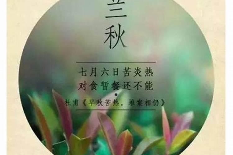 十二个月份的别称与花有关的