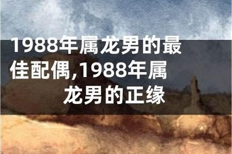 1988年属龙的最佳配偶和什么属相最配