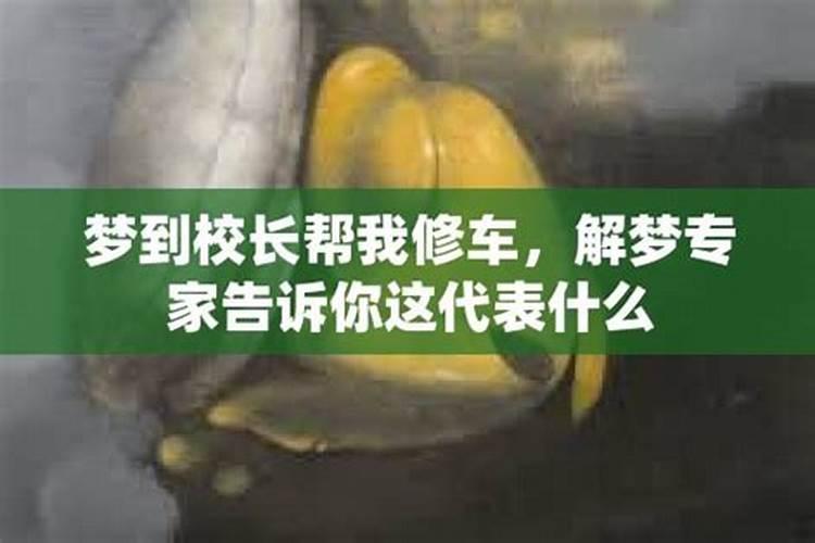 给我解个梦吧