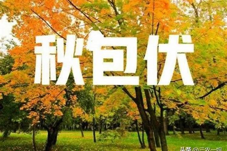 正月初五几点接财神好