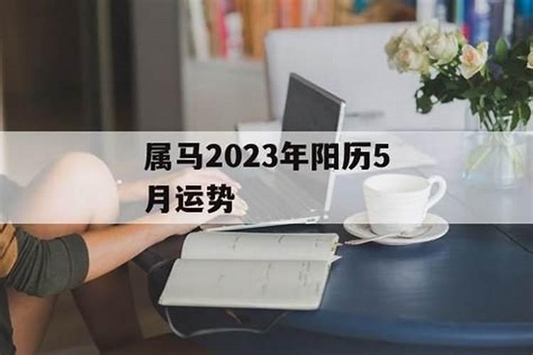 属马阳历5月运势2021