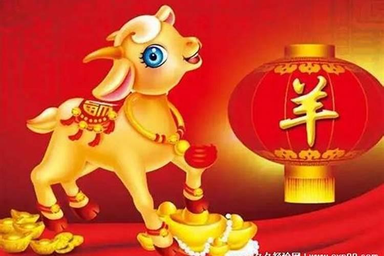 属羊的今年什么运气