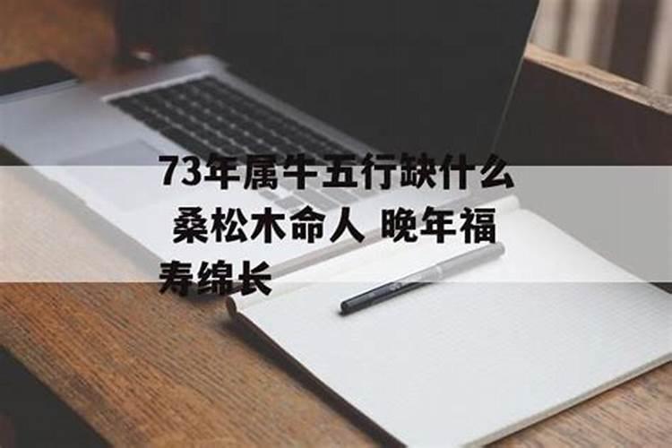 牛桑松木是什么意思