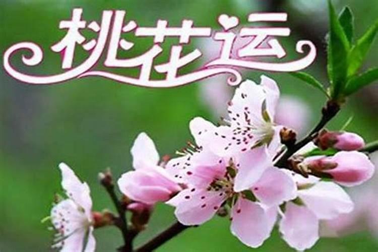 八字有桃花但没有桃花运