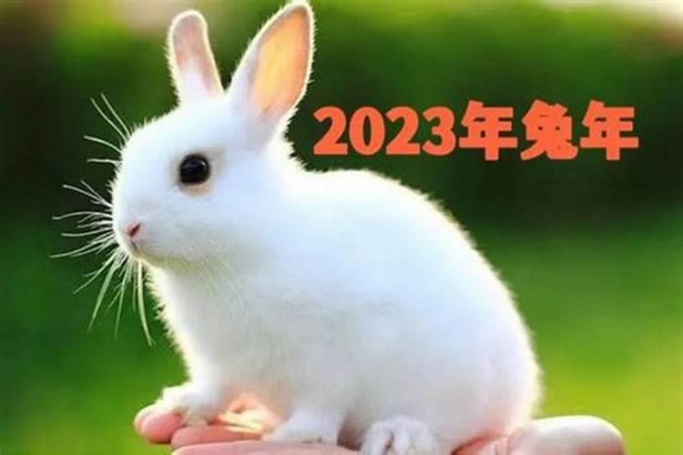 2023年流年运势佛滔算命