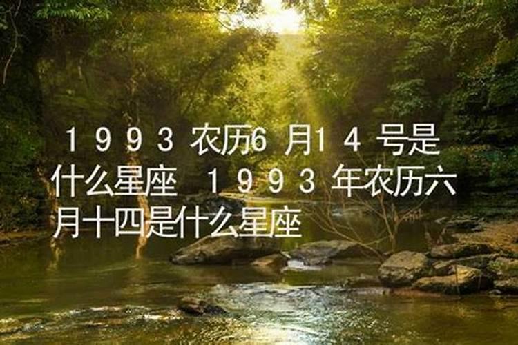 1993年农历十二月二十六是什么星座