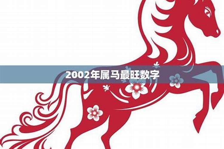 2023年属马最旺数字