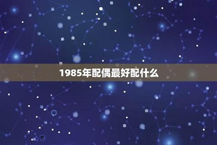 1985属牛最佳配对