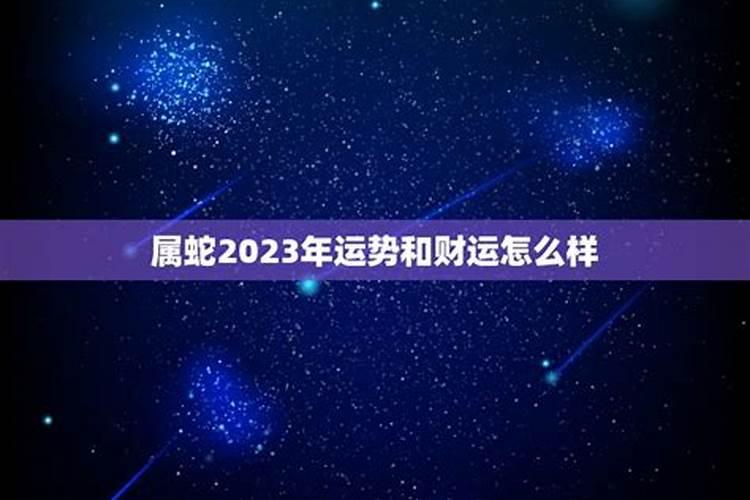 2023属蛇感情运势如何样