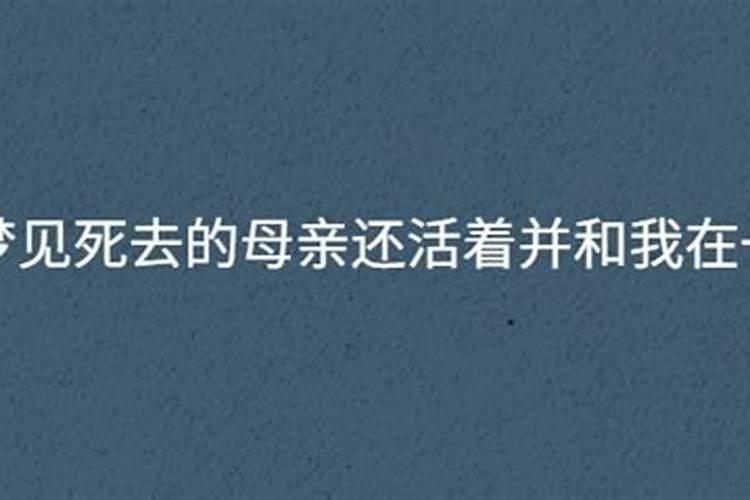 梦见死去的母亲在铲墙皮啥意思呀好不好