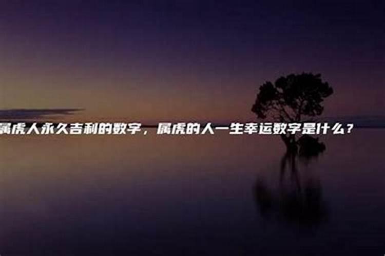 属虎人一生幸运数字是什么