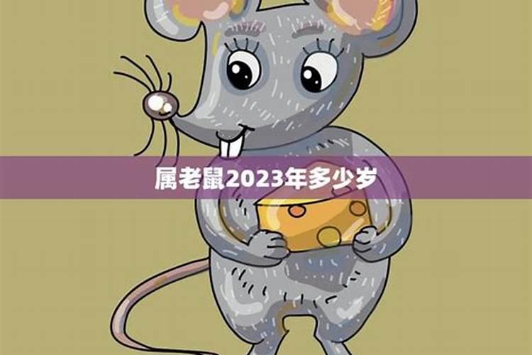 2023生肖鼠几岁