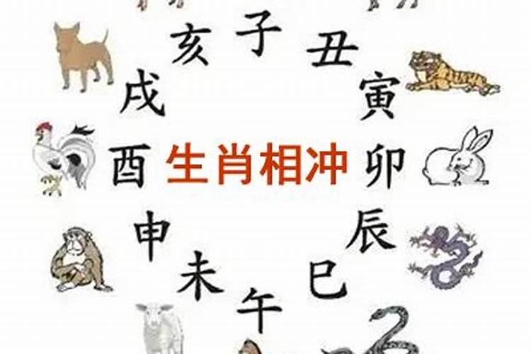 黄历虎日冲猴煞北是什么意思