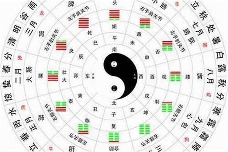 日柱看天干还是地支确定属性