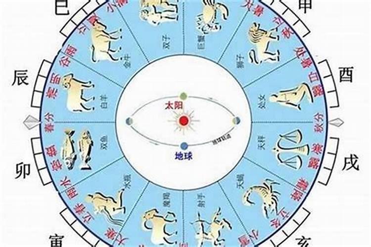 日柱看天干还是地支确定属性