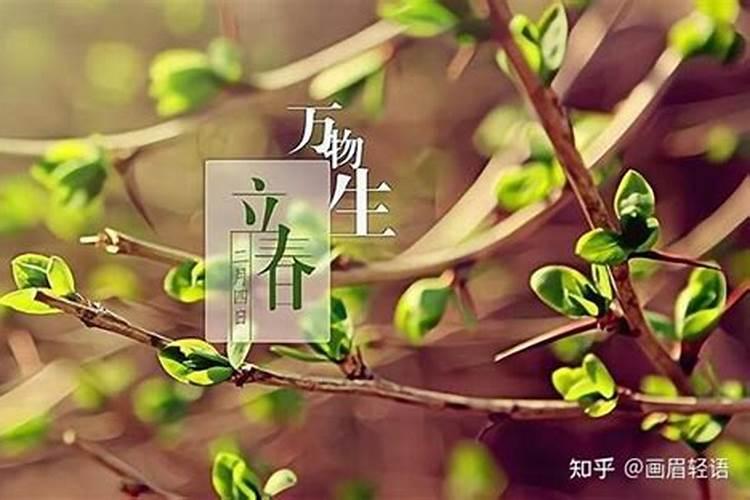 2月4日立春的含义