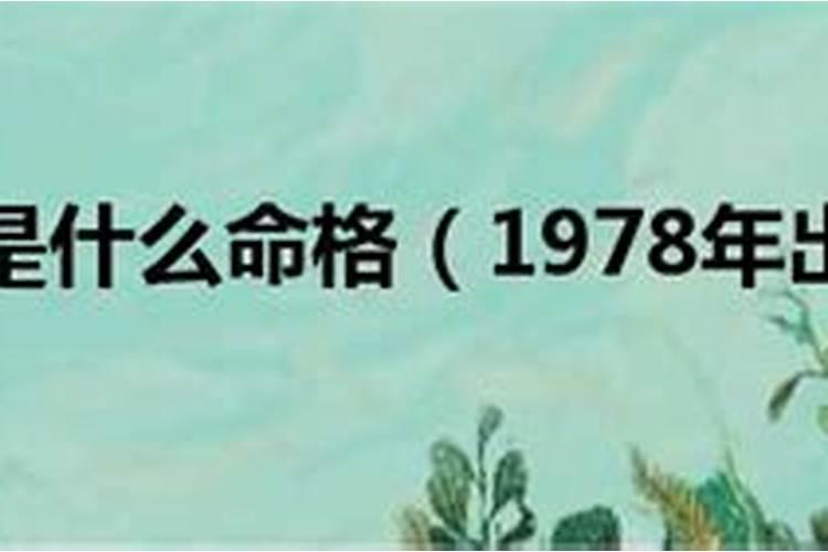 1978年出生是