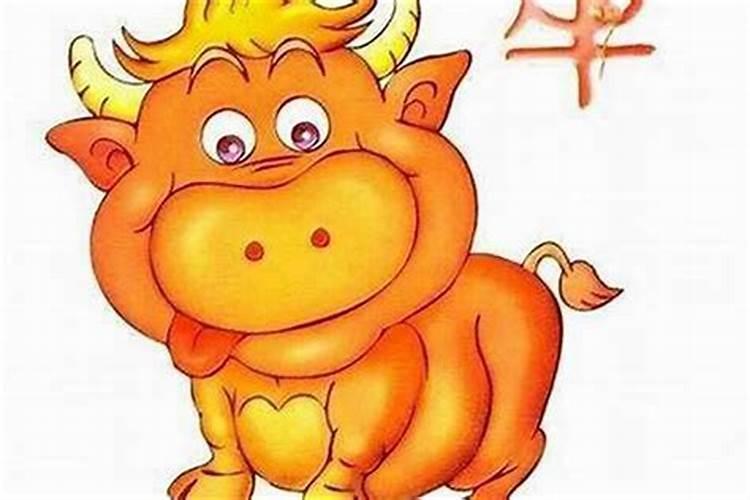 1997年属牛佩戴什么招财转运