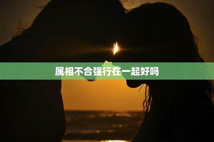 两个人属相合不合