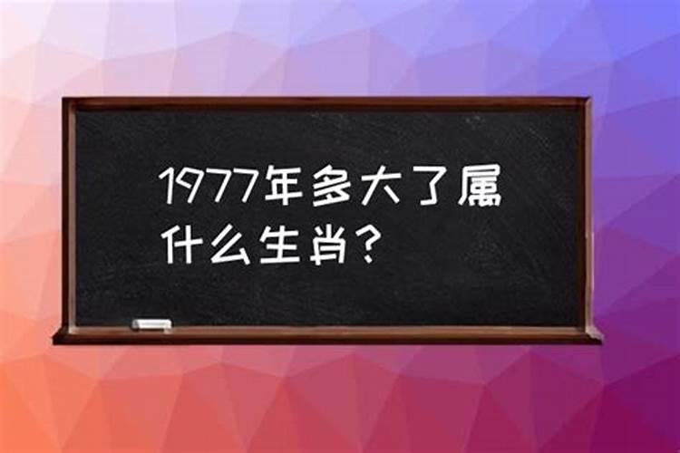 1977年属什么生肖属相