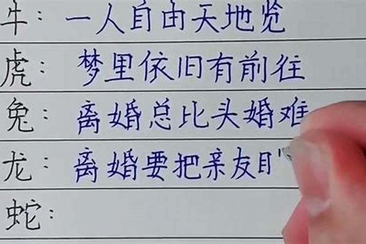 离婚数次打一生肖