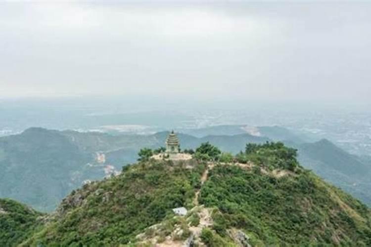 生肖羊在哪一年犯太岁