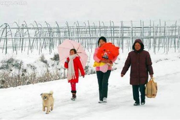 已婚女人梦到驴和马