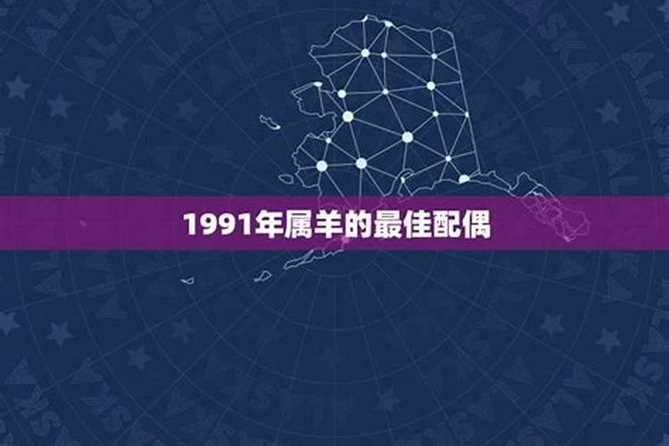 91年属什么的最佳配偶女