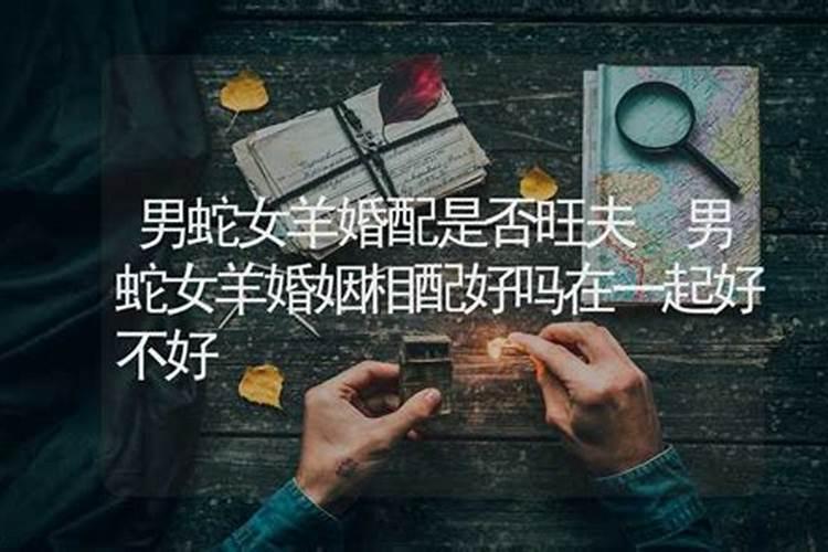 女羊男蛇在一起好不好