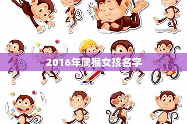 2016年属猴取名字大全