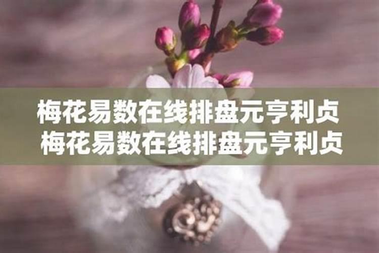 梅花易数是最准的吗