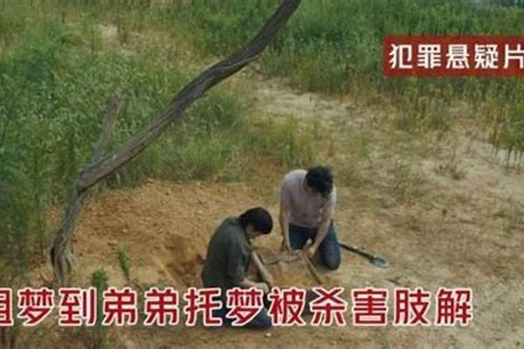 姐姐梦见弟弟死了被埋在山下