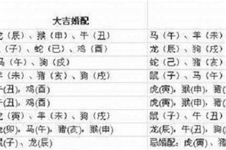 1998属虎2024年运势及运程