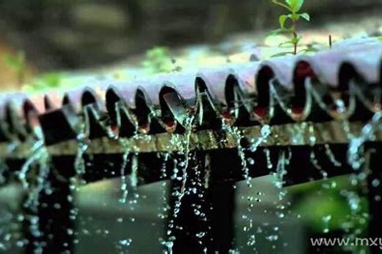 梦见下雨是咋回事