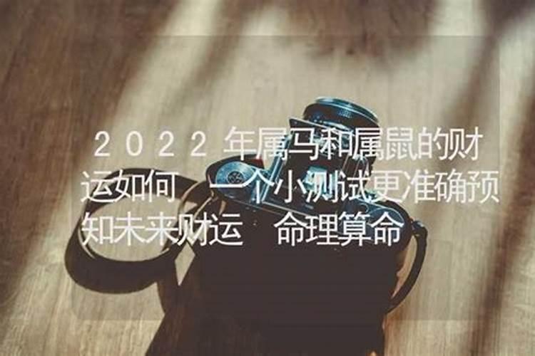 2022年属马的运气好不好呀