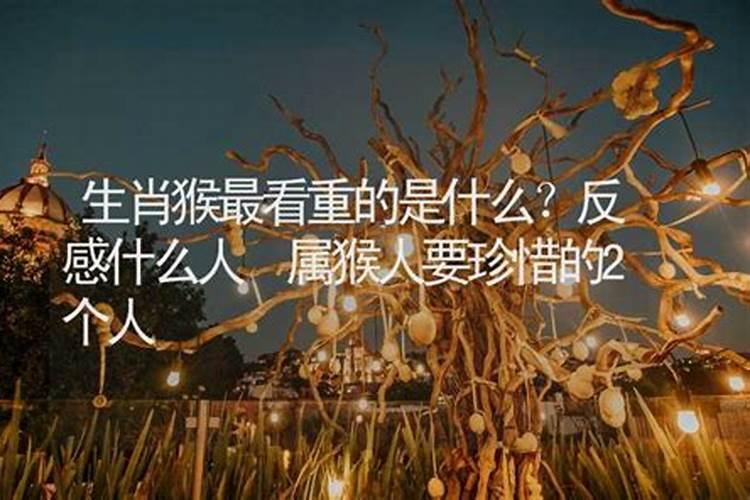 生肖猴最会珍惜什么人？对什么人没有好感呢