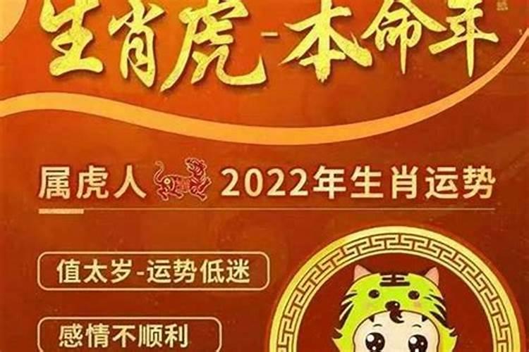 属兔的超级贵人2023年