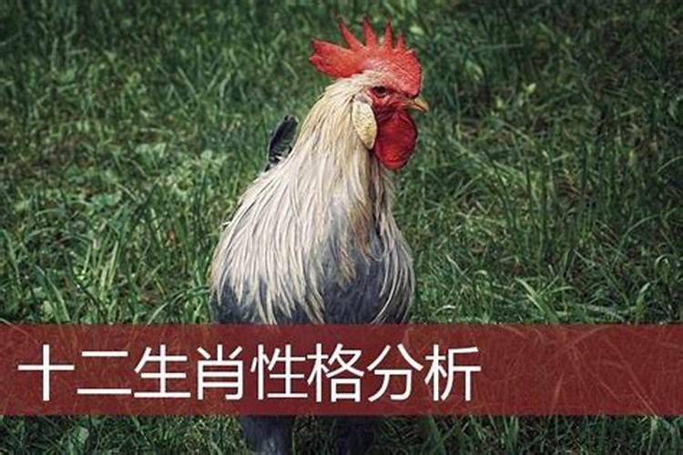 什么生肖性格最好