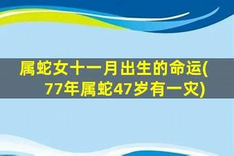 阴历十一月三十属蛇今年运势如何